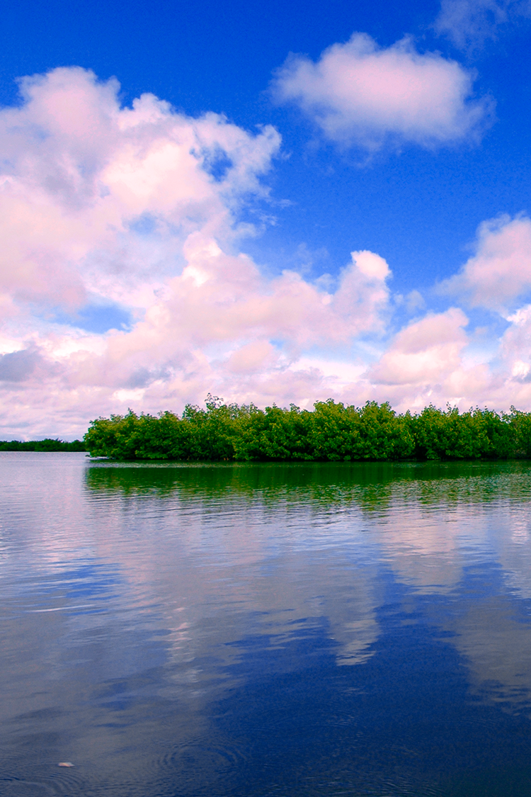 Baja Casamance Route What Do We Visit And Learn